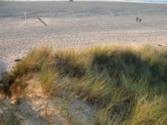Strand u. Dünen Strand u. Dünen